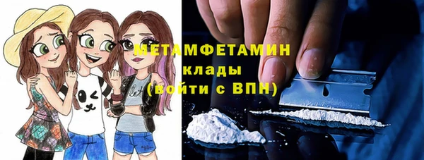 сатива Пересвет