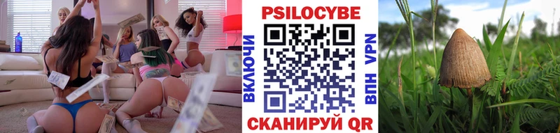 купить   Гаврилов-Ям  Галлюциногенные грибы GOLDEN TEACHER 